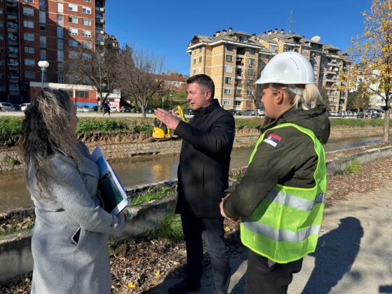 Радови на уређењу корита реке Деспотовице у току